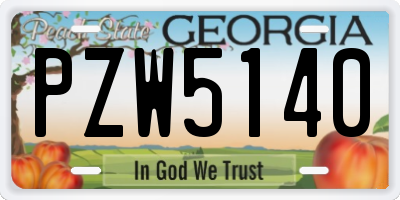 GA license plate PZW5140