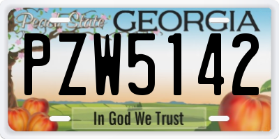 GA license plate PZW5142