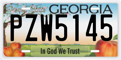 GA license plate PZW5145