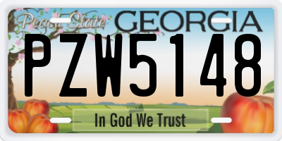 GA license plate PZW5148