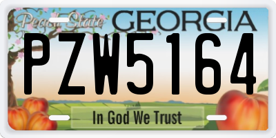 GA license plate PZW5164