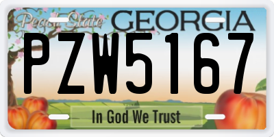 GA license plate PZW5167