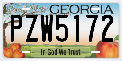 GA license plate PZW5172