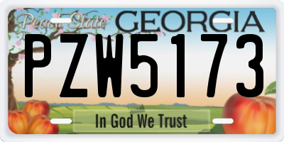 GA license plate PZW5173