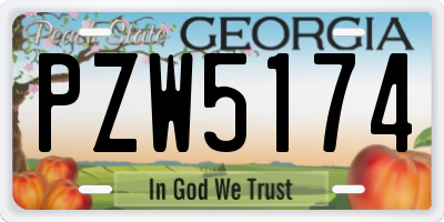 GA license plate PZW5174