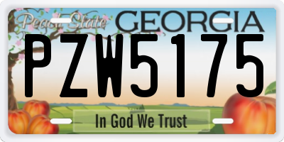 GA license plate PZW5175