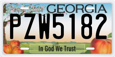 GA license plate PZW5182