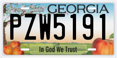 GA license plate PZW5191