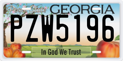 GA license plate PZW5196