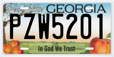 GA license plate PZW5201