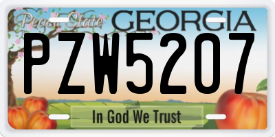 GA license plate PZW5207