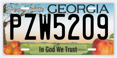 GA license plate PZW5209