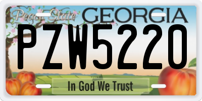 GA license plate PZW5220