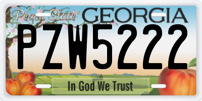 GA license plate PZW5222