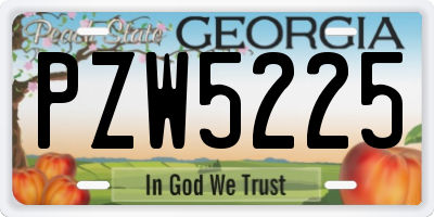 GA license plate PZW5225