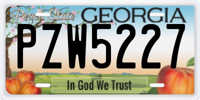 GA license plate PZW5227