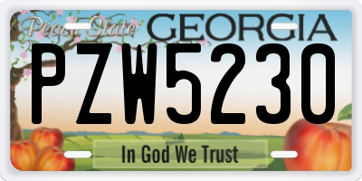 GA license plate PZW5230