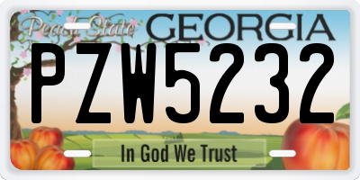 GA license plate PZW5232