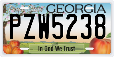 GA license plate PZW5238