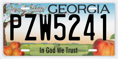 GA license plate PZW5241