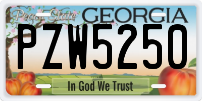 GA license plate PZW5250