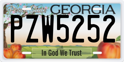 GA license plate PZW5252