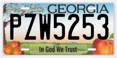 GA license plate PZW5253