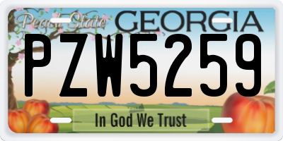 GA license plate PZW5259