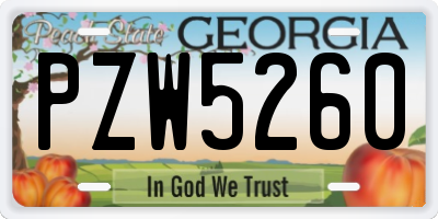 GA license plate PZW5260