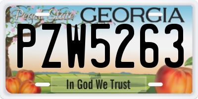 GA license plate PZW5263