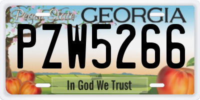 GA license plate PZW5266