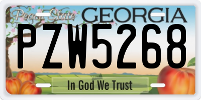 GA license plate PZW5268