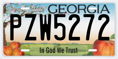GA license plate PZW5272