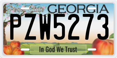 GA license plate PZW5273