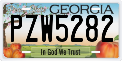 GA license plate PZW5282