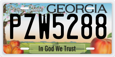 GA license plate PZW5288