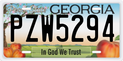 GA license plate PZW5294