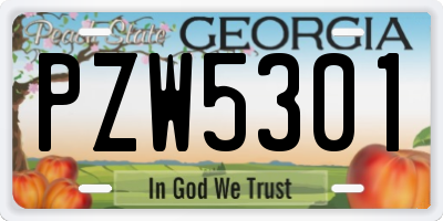 GA license plate PZW5301