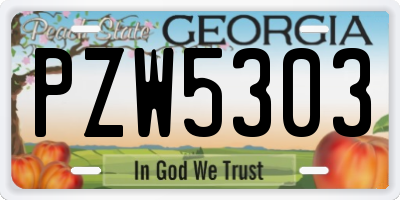 GA license plate PZW5303