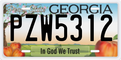 GA license plate PZW5312