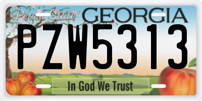 GA license plate PZW5313
