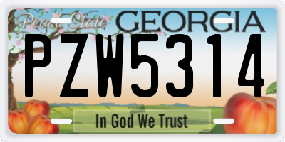 GA license plate PZW5314