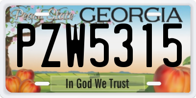 GA license plate PZW5315