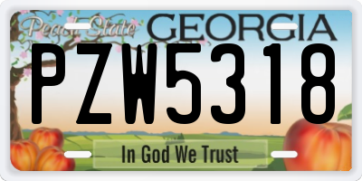 GA license plate PZW5318