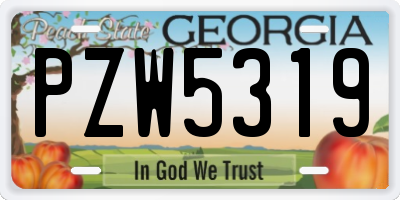 GA license plate PZW5319
