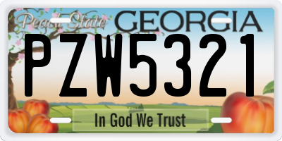 GA license plate PZW5321