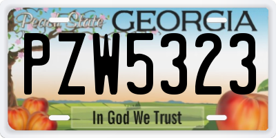 GA license plate PZW5323