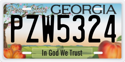 GA license plate PZW5324