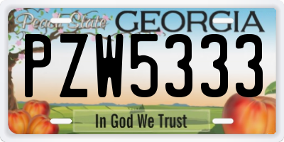 GA license plate PZW5333