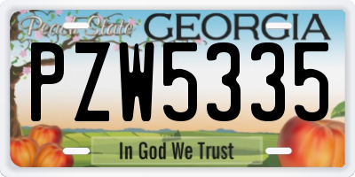 GA license plate PZW5335